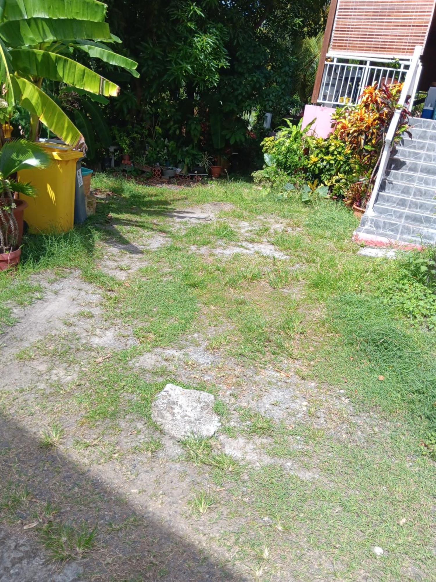 Sous Le Manguier Lägenhet Sainte-Anne Exteriör bild